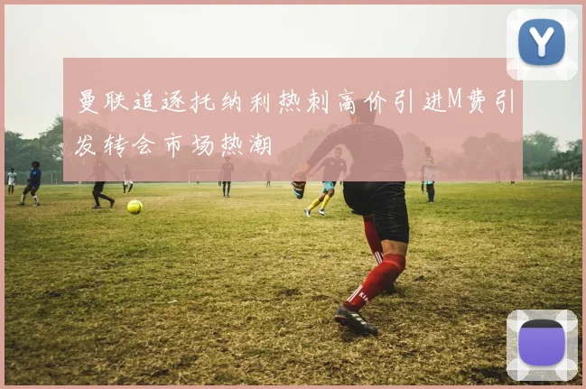 曼联追逐托纳利热刺高价引进M费引发转会市场热潮